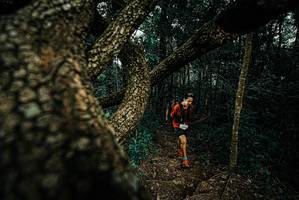 BIB: 
                            <button type="button" onclick="openModal(25694137)" class="btn btn-primary btn-sm float-right btn-popup" data-toggle="modal" data-target=".modal-high-quality">
                        <i class="fas fa-shopping-cart"></i> Add to Cart
                    </button>
                                            <button type="button" onclick="isThisMe(25694137, true)" class="btn btn-success btn-sm float-right btn-popup btn-isme hidden" data-toggle="tooltip" data-placement="bottom" title="นี่คือรูปของคุณใช่ไหม คลิกที่นี่เพื่อเอาเข้าอัลบั้ม">
                        <i class="fas fa-plus"></i> Add to album
                    </button>
                    <button type="button" onclick="isThisMe(25694137, false)" class="btn btn-warning btn-sm float-right btn-popup btn-isnotme hidden">
                        <i class="fas fa-ban"></i> Remove from album
                    </button>